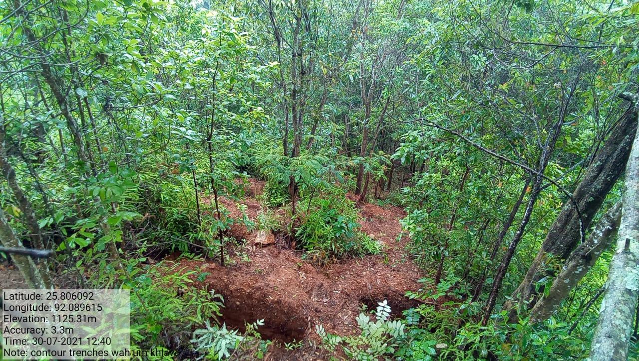 C:\Users\Lavinia Pde\Downloads\WhatsApp Image 2023-02-16 at 14.03.58 (1).jpeg